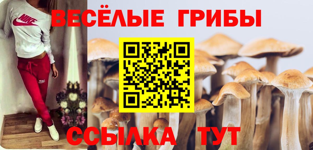 Псилоцибиновые грибы Cubensis  Псилоцибиновые грибы мицелий  Вятские Поляны  Вход с VPN 